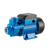 Whirlpool Pump